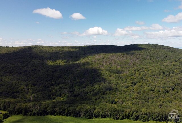 0 Cascade Mountain Rd, Amenia, NY 12501