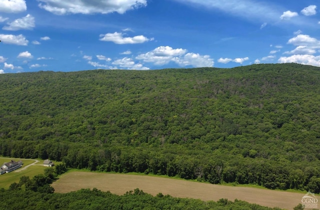 0 Cascade Mountain Rd, Amenia, NY 12501