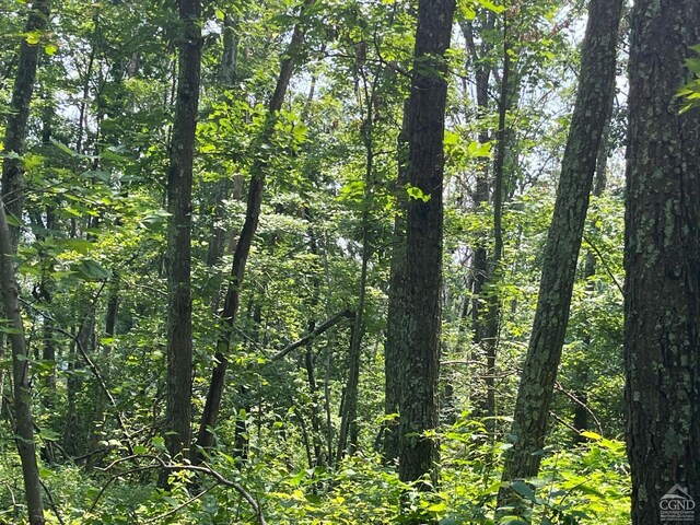 0 Cascade Mountain Rd, Amenia, NY 12501