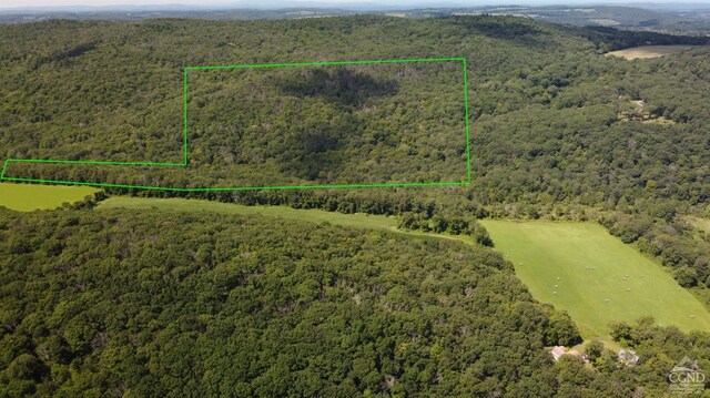0 Cascade Mountain Rd, Amenia, NY 12501