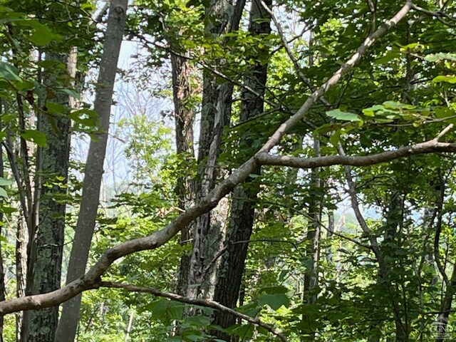 0 Cascade Mountain Rd, Amenia, NY 12501