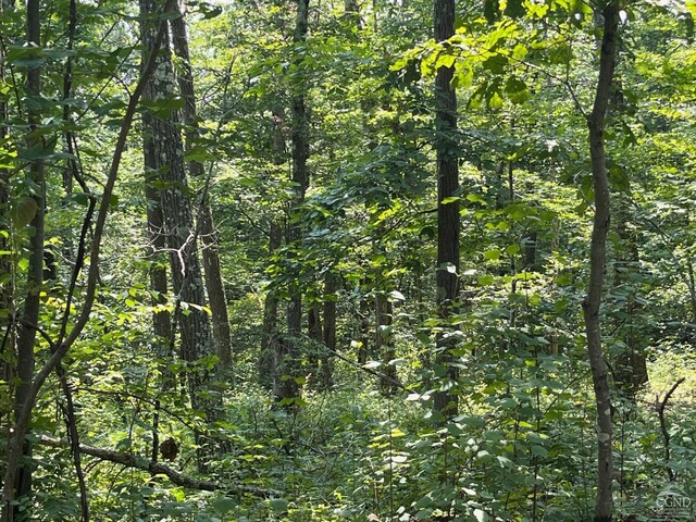 0 Cascade Mountain Rd, Amenia, NY 12501