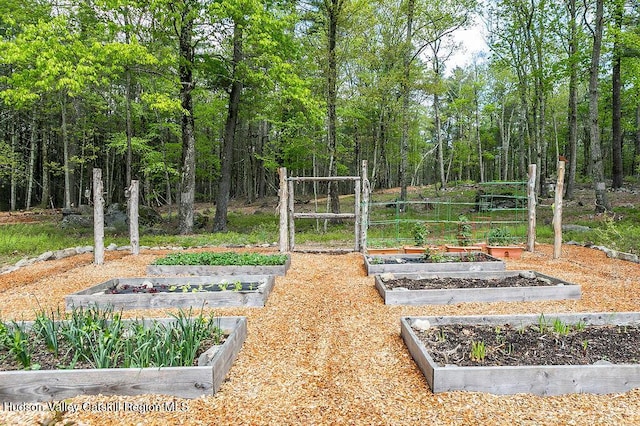 view of yard featuring a vegetable garden