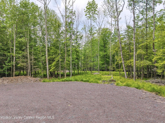 TBD Boulder Brook Rd Lot B13, Windham, NY 12496