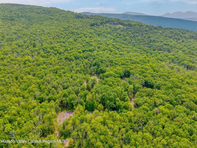 TBD Boulder Brook Rd Lot B13, Windham, NY 12496