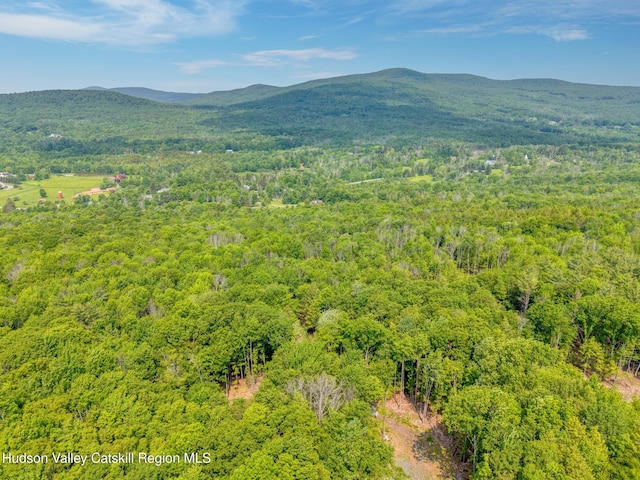 TBD Boulder Brook Rd Lot B13, Windham, NY 12496