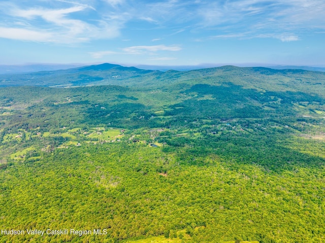 TBD Boulder Brook Rd Lot B13, Windham, NY 12496