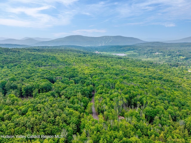 TBD Boulder Brook Rd Lot B13, Windham, NY 12496