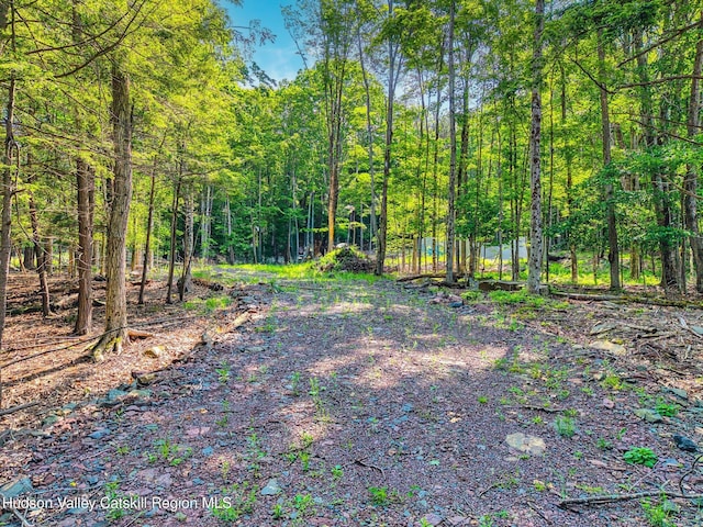 TBD Boulder Brook Rd Lot B13, Windham, NY 12496