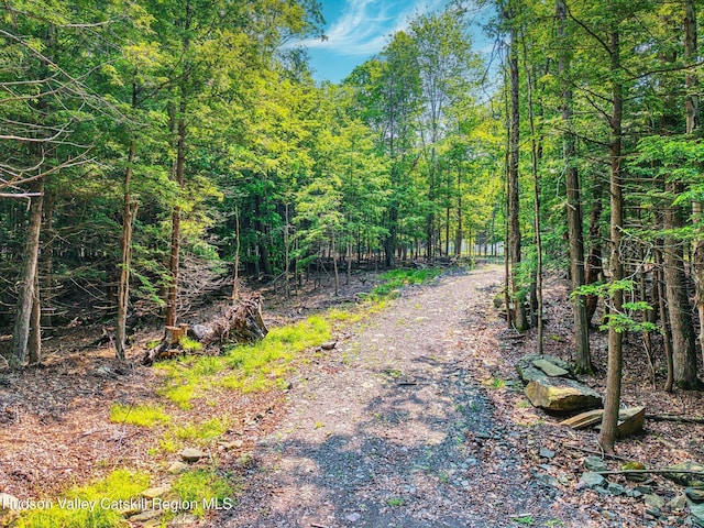 TBD Boulder Brook Rd Lot B13, Windham, NY 12496