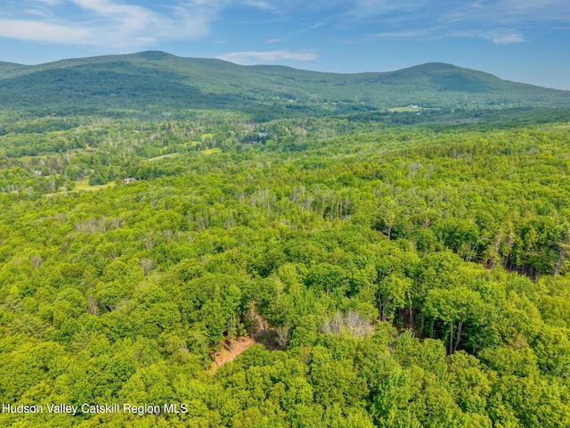TBD Boulder Brook Rd Lot B13, Windham, NY 12496
