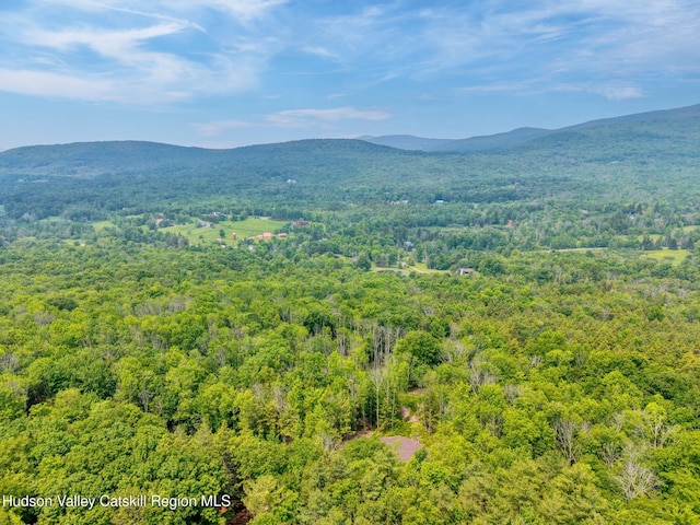 TBD Boulder Brook Rd Lot B13, Windham, NY 12496