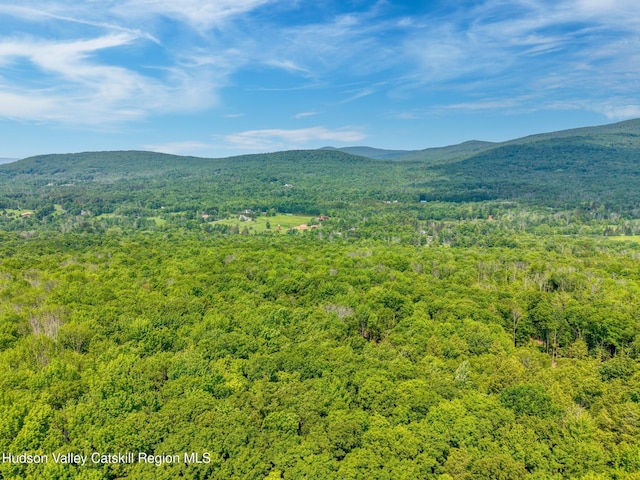 TBD Boulder Brook Rd Lot B13, Windham, NY 12496