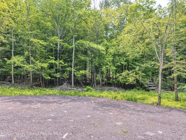 TBD Boulder Brook Rd Lot B13, Windham, NY 12496
