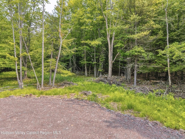 TBD Boulder Brook Rd Lot B13, Windham, NY 12496