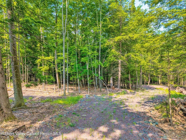 TBD Boulder Brook Rd Lot B13, Windham, NY 12496