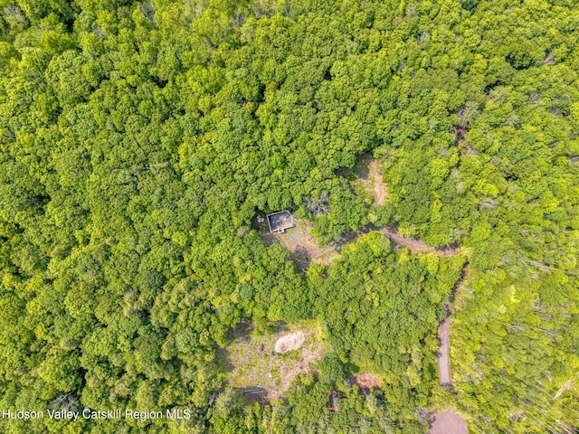 TBD Boulder Brook Rd Lot B13, Windham, NY 12496