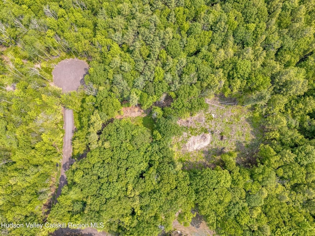 TBD Boulder Brook Rd Lot B13, Windham, NY 12496