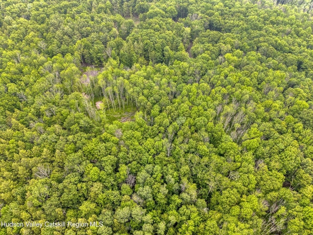 TBD Boulder Brook Rd Lot B13, Windham, NY 12496