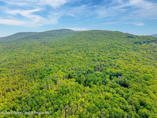 TBD Boulder Brook Rd Lot B13, Windham, NY 12496