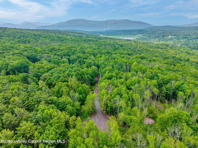 TBD Boulder Brook Rd Lot B13, Windham, NY 12496