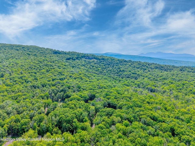 TBD Boulder Brook Rd Lot B13, Windham, NY 12496