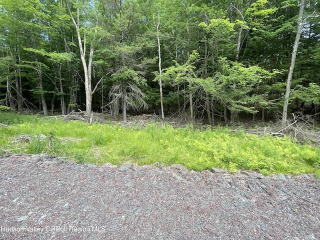 TBD Boulder Brook Rd Lot B13, Windham, NY 12496