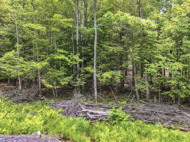 TBD Boulder Brook Rd Lot B13, Windham, NY 12496