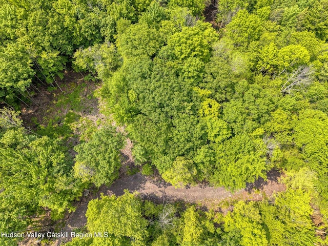 TBD Boulder Brook Rd Lot B13, Windham, NY 12496