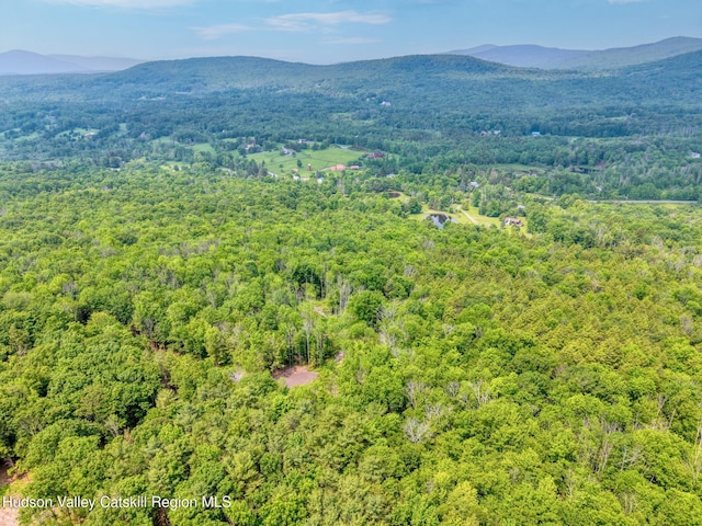 TBD Boulder Brook Rd Lot B13, Windham, NY 12496