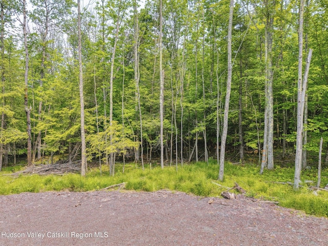 TBD Boulder Brook Rd Lot B13, Windham, NY 12496