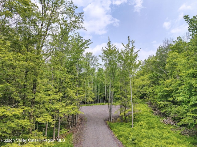 TBD Boulder Brook Rd Lot B13, Windham, NY 12496