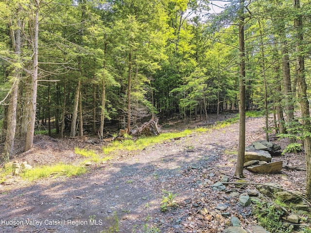 TBD Boulder Brook Rd Lot B13, Windham, NY 12496