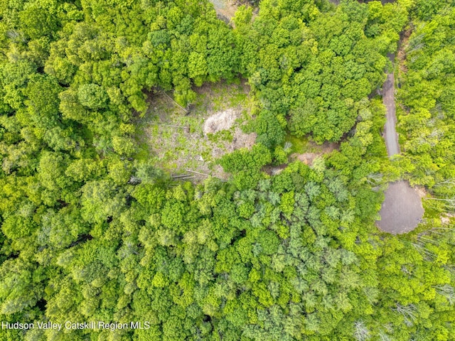 TBD Boulder Brook Rd Lot B13, Windham, NY 12496