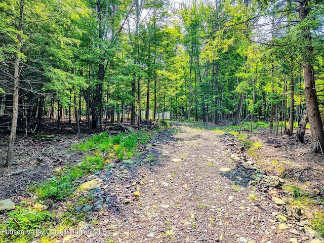 TBD Boulder Brook Rd Lot B13, Windham, NY 12496