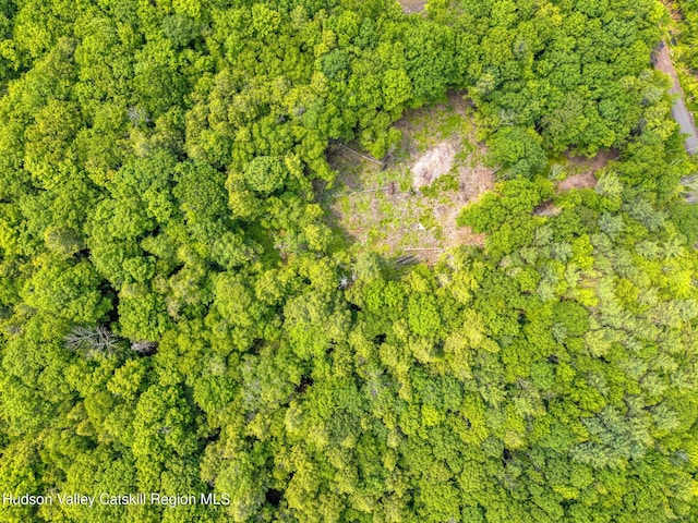 TBD Boulder Brook Rd Lot B13, Windham, NY 12496