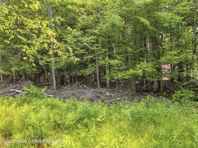 TBD Boulder Brook Rd Lot B13, Windham, NY 12496