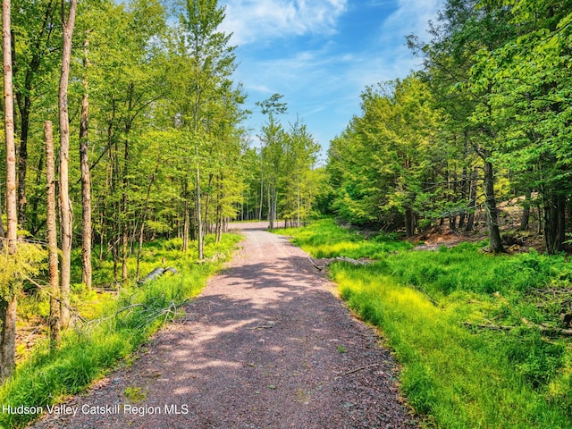 TBD Boulder Brook Rd Lot B13, Windham, NY 12496