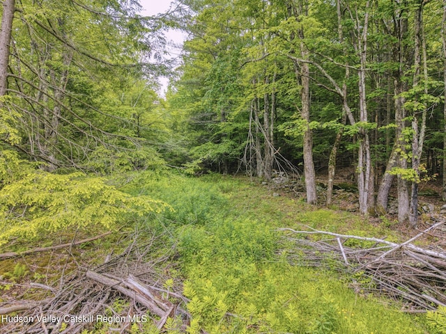 TBD Boulder Brook Rd Lot B13, Windham, NY 12496