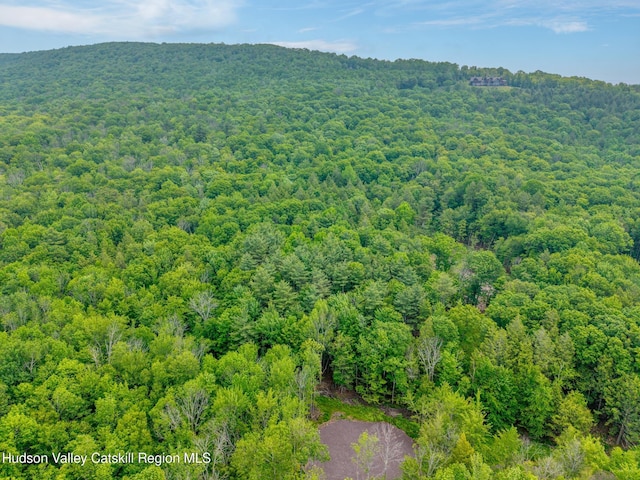 TBD Boulder Brook Rd Lot B13, Windham, NY 12496