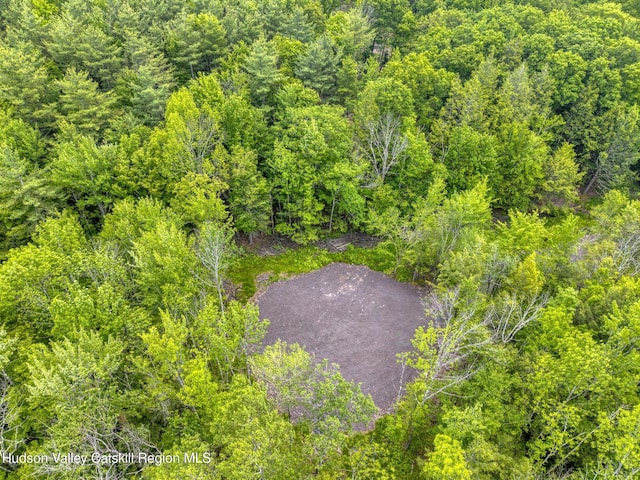 TBD Boulder Brook Rd Lot B13, Windham, NY 12496
