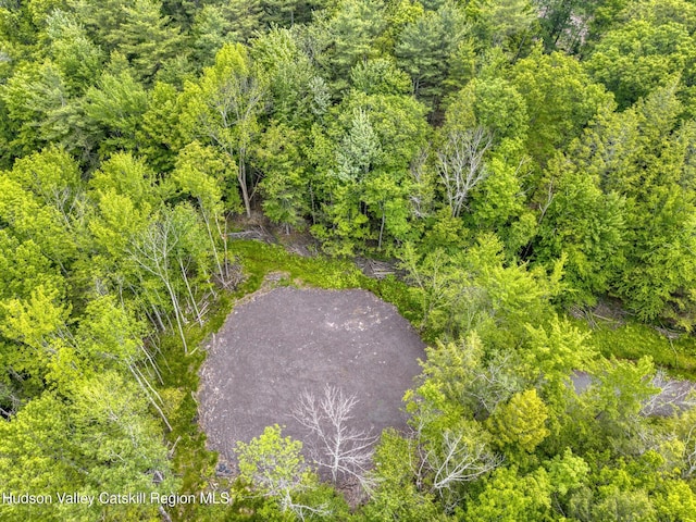 TBD Boulder Brook Rd Lot B13, Windham, NY 12496