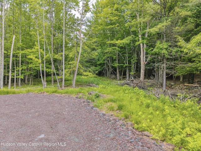 TBD Boulder Brook Rd Lot B13, Windham, NY 12496