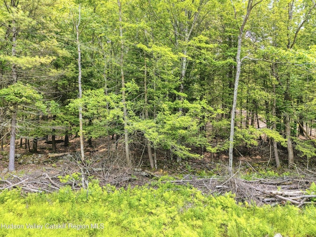 TBD Boulder Brook Rd Lot B13, Windham, NY 12496