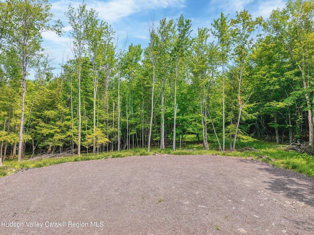 TBD Boulder Brook Rd Lot B13, Windham, NY 12496