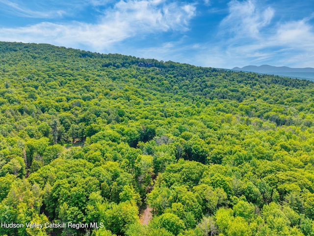 TBD Boulder Brook Rd Lot B13, Windham, NY 12496