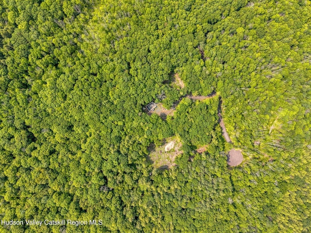 TBD Boulder Brook Rd Lot B13, Windham, NY 12496