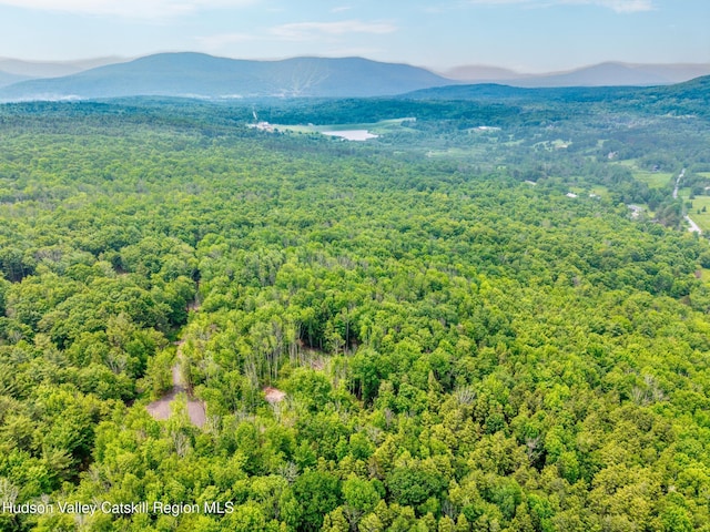 TBD Boulder Brook Rd Lot B13, Windham, NY 12496