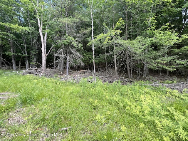 TBD Boulder Brook Rd Lot B13, Windham, NY 12496