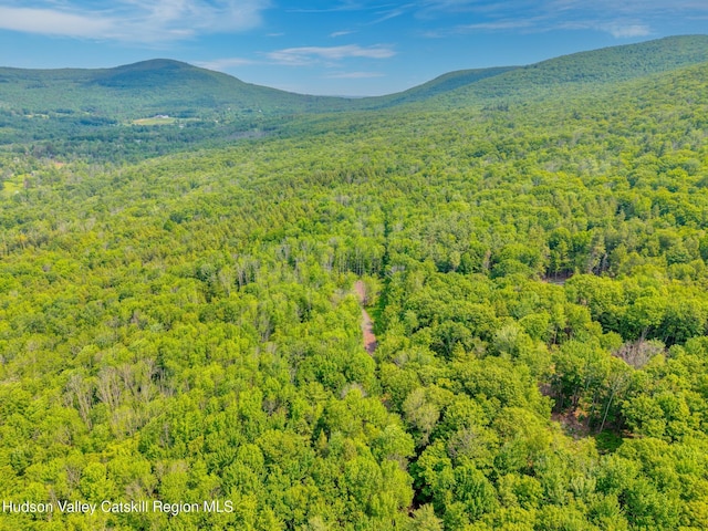 TBD Boulder Brook Rd Lot B13, Windham, NY 12496